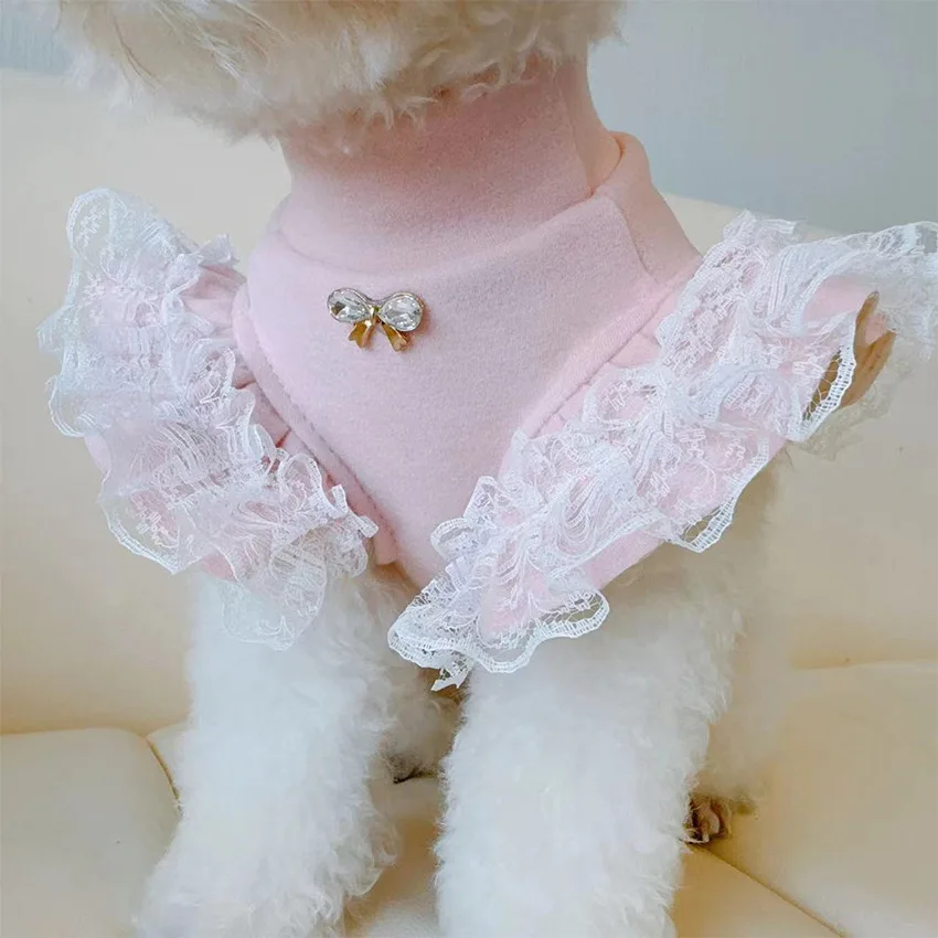 Pet Clothing Autumn and Winter - Lace Teddy Lingerie recension och pris