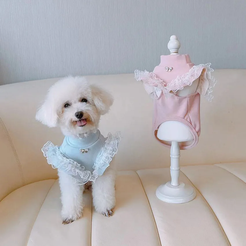 Pet Clothing Autumn and Winter - Lace Teddy Lingerie recension och pris