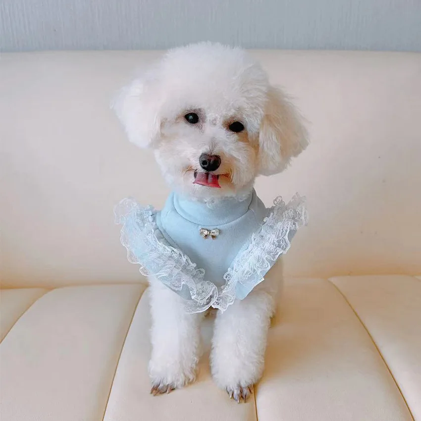 Pet Clothing Autumn and Winter - Lace Teddy Lingerie recension och pris